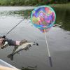 Almencla Fishing Landing Net Telescopic Kids Fishing Net Extendable Outdoor Exploration view 4