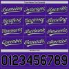 Custom Purple Baseball Jersey Authentic Throwback Pullover Personalized Large Mesh V-Neck Baseball Shirts Stitched Name and Number view 3