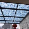 RZZYYDS Camo NettingBlue Camouflage netcamo netCamouflage Netting Military SurplusSimple Installation, Multiple Sizes (Size : 1.5x10m(4.9ftx32.8ft)) view 4