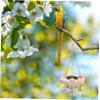 BESPORTBLE Parrot Toy Molar Feeder Interactive Hanging Bowl Bird Feeder Toy for Parrots Parakeets Cockatiels Random Color view 4