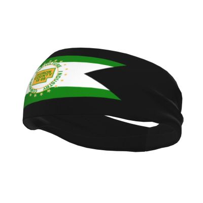 Flag of Huron County, Ohio Headbands for Women Men Sports Headband Outdoor Interior Breathable Sports Wicking Hair Ties Leisure Hair Bands