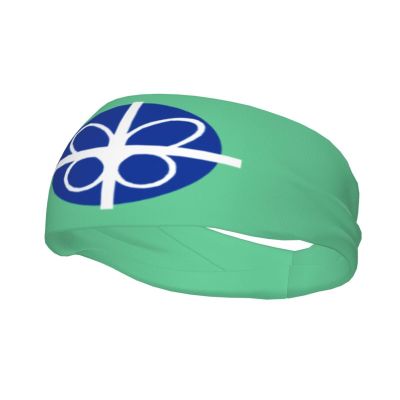 Flag of Springfield, Virginia Headbands for Women Men Sports Headband Outdoor Interior Breathable Sports Wicking Hair Ties Leisure Hair Bands