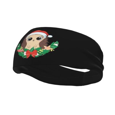 Cute Hedgehog and Christmas Wreath Headbands for Women Men Sports Headband Outdoor Interior Breathable Sports Wicking Hair Ties Leisure Hair Bands