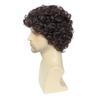 Airhostess Mens Short Afro Curly Wig for Male,70s 80s Disco Guy RockerHalloween Cosplay Fancy Wigs for Daily Party Costume (Dark Brown) view 3