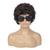 Airhostess Mens Short Afro Curly Wig for Male,70s 80s Disco Guy RockerHalloween Cosplay Fancy Wigs for Daily Party Costume (Dark Brown) view 4