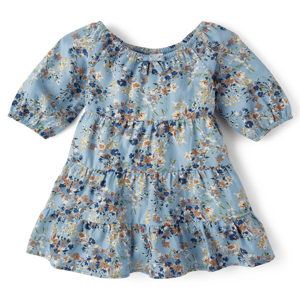 Gymboree,and Toddler Short Sleeve Casual Printed Dresses,Blue Flowers,6