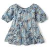 Gymboree,and Toddler Short Sleeve Casual Printed Dresses,Blue Flowers,6 view 1