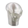 Lax Zombie Dyes Lacrosse Butt End/End Cap Men's from (Skull, Clear), Standard shaft size view 2