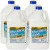 Champion Muriatic Acid for Swimming Pools & Spas - Lower's pH/pH Reducer for Pool Water Balancing - 4 Gallon view 1