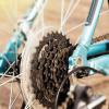 NineFit Basics Transparent Spoke Covers, FLYWHEEL Protector, Disc Brake Cassette Hub Guard Mountain Bike Accessory, Genericcip7oekh2f view 4