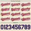 Custom Baseball Jerseys Pullover Personalized Softball Shirts Sports Uniform Stitched Name Number Logo for Men Women Youth view 3