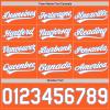 Custom Orange Baseball Jerseys Pullover Personalized Softball Shirts Sports Uniform Stitched Name Number Logo for Men Women Youth view 3