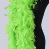 homeemoh 6.56FT Long Fluffy Feathers Boa, 80g Natural Turkey Feathers Boa Fancy Dress Boa Feathers Scarf for Costume Dress up (Apple Green) view 3