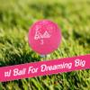 Shanker Golf Balls - Birdie Pink Golf Balls - Funny Golf Gift for Women (Sleeve of 3, Novelty) - The #1 Ball for Dreaming Big - Golf Balls for Women view 2
