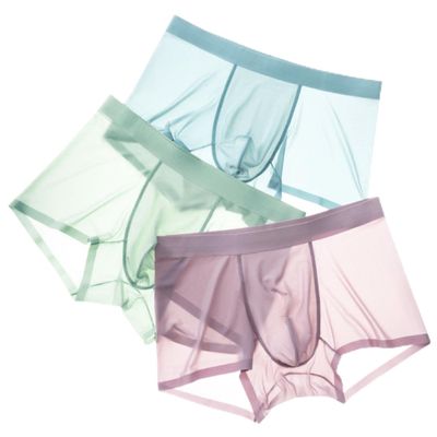A PURE SOURCE Mens Boxers Shorts Ice Silk,Men Seamless Panties Mesh Transparent Ultra-Thin Breathable Male Underpants