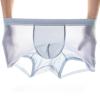 A PURE SOURCE Mens Boxers Shorts Ice Silk,Men Seamless Panties Mesh Transparent Ultra-Thin Breathable Male Underpants view 2