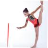 Parliky 6pcs Gymnastics Dance Ribbons Performing Ribbons for Artistic Dance Gymnastics Training and Fun Activities view 4