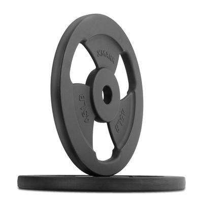 XMARK IRON HORSE Premium Cast Iron Olympic Weight Plates, 45 lb Pair, Weights for Strength Training and Conditioning