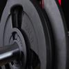 XMARK IRON HORSE Premium Cast Iron Olympic Weight Plates, 45 lb Pair, Weights for Strength Training and Conditioning view 3