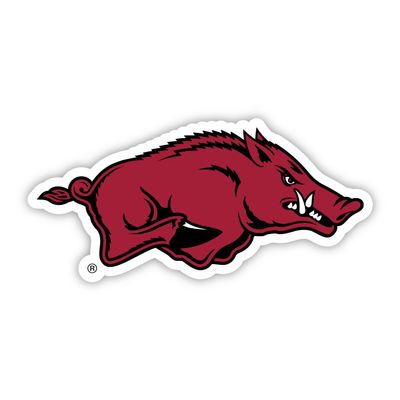 Arkansas Razorbacks Vinyl Decal Sticker (White, 10-Inch)