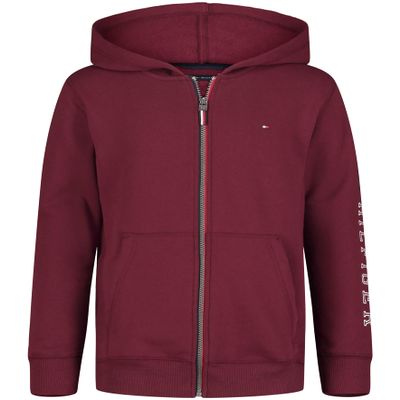 Tommy Hilfiger Boys' Long Sleeve Fleece Full Zip Hoodie, Prep Port, 14-16