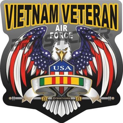 Air Force Vietnam Veteran Decal USA Flag Eagle Military ProSticker 263 (6")