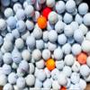 72 Shag/Practice/Hitaway/Range Used Golf Balls Mix in Mesh Bag view 1