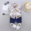 AMIMOJY Toddler Kids Baby Boys Summer Clothing Cartoon Dinosaur Print Floral T Shirt Tops and Shorts 2 Piece Outfits Set, 18-24 Months, Coffee view 2