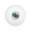 University of Wisconsin - Green Bay Secondary Logo Novelty Table Tennis Ping Pong Ball 12 Pack with Storage Bag view 2