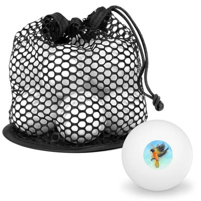 Baltimore Oriole Watercolor Northeastern Bird Novelty Table Tennis Ping Pong Ball 12 Pack with Storage Bag