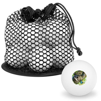 Sloth Family Butterflies Novelty Table Tennis Ping Pong Ball 12 Pack with Storage Bag