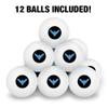Batman Nightwing Logo Novelty Table Tennis Ping Pong Ball 12 Pack with Storage Bag view 3