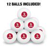 South Dakota Secondary Logo Novelty Table Tennis Ping Pong Ball 12 Pack with Storage Bag view 3