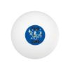 Squid Squad Ocean Aquatic Funny Humor Novelty Table Tennis Ping Pong Ball 12 Pack with Storage Bag view 2