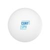 CUNY School of Public Health Primary Logo Novelty Table Tennis Ping Pong Ball 12 Pack with Storage Bag view 2