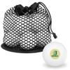 Bronx Community College Primary Logo Novelty Table Tennis Ping Pong Ball 12 Pack with Storage Bag