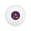 Alcorn Primary Logo Novelty Table Tennis Ping Pong Ball 12 Pack with Storage Bag view 2
