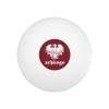 University of Chicago Primary Logo Novelty Table Tennis Ping Pong Ball 12 Pack with Storage Bag view 2