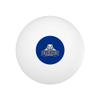 Daemen College Primary Logo Novelty Table Tennis Ping Pong Ball 12 Pack with Storage Bag view 2