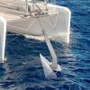 Boat Anchor, Heavy Duty Triangular Anchor Wing Style Triangle Anchor, Small Yacht Boat Anchor 316 Stainless Steel Delta-Style Anchor 10 lbs/14 lbs/17 lbs/18 lbs/22 lbs/33 lbs/35 lbs/43 lbs (22 lbs) view 2