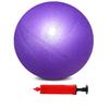 BAIMAN Mini Pilates Exercise Yoga Ball, 6 Inch Small Inflatable Exercise Yoga Ball,Core Training and Physical Therapy Equipment, with Pump(Purple)