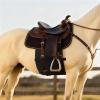 DayoVortex Black Horse Belly Guard Cover for Protecting Abdomen from Spurs and Injured Skin Comfortable Belly Band Breathable Horse Spurs Band Full Size (M) Width:30CM view 4