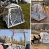 Oracra Bubble Tent Sports Tent Bubble Pop-Up Shelter with Inflatable Bed, Panoramic Gazebo for Camping, Fishing, Party, PVC Windproof Garden Screen Houses view 2