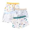 NineFit Basics Kids Boys Cotton Underwear Cute Dinosaur Print Underpants Comfort Flex Cotton Boxer oxer Trunks (White, 5-7 Years) view 1