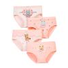 NineFit Basics Little Girls' Soft Cotton Underwear 4pcs Set Toddler Kids Assorted anties Beach Pool Swimming (Pink-1, 5-6 Years) view 1