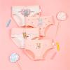 NineFit Basics Little Girls' Soft Cotton Underwear 4pcs Set Toddler Kids Assorted anties Beach Pool Swimming (Pink-1, 5-6 Years) view 3