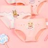 NineFit Basics Little Girls' Soft Cotton Underwear 4pcs Set Toddler Kids Assorted anties Beach Pool Swimming (Pink-1, 5-6 Years) view 4
