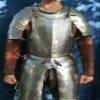 NineFit Basics Medieval Wearable Half Body Lady Suit With Cuirass & Puldrons jacket Armor, Standard, Silver view 1