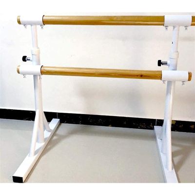 SDdPulse Ballet Barre,Adjustable Portable Stretch Bar Non-Slip Freestanding Single Double Fitness Dance Training Bar for Kids Home Or Studio Dancing (Double Layer 1.5M)