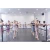 SDdPulse Mobile Ballet Bar Equipment, Freestanding Fitness Dance Bar Stretch, Portable Double Ballet & Workout Studio Dance Pole Exercise (Black 150x60x105cm) view 2